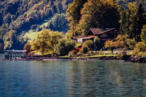Hotel Wildbach