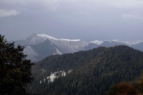 Hotel Kudrat - A Boutique Homestay