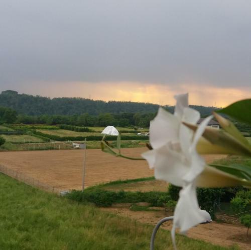 Bed & Breakfast Le Vigne Sull?adda