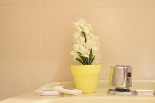 Apartamento Welc-om Nino's