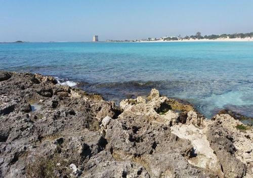 Apartamento Appartamenti Terrasalentina