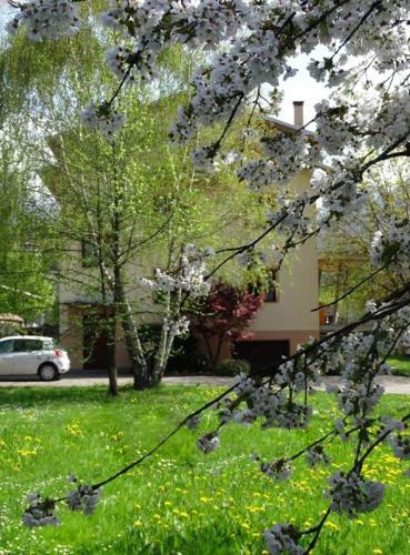 Bed & Breakfast La Casa Di Clara