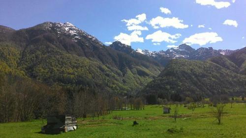 Apartamento Albergo Diffuso Dolomiti