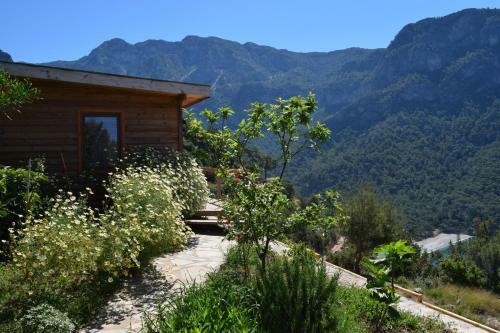 Lodge Kabak Avalon Bungalows
