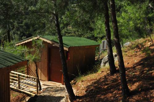 Tree Houses