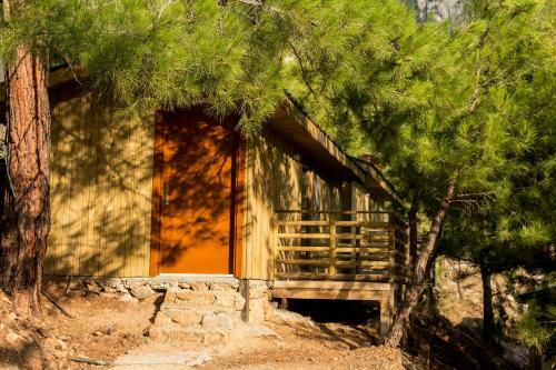 Tree Houses
