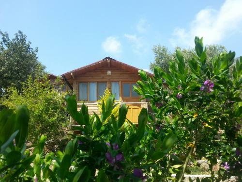 Olive Garden Kabak