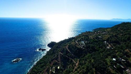 Olive Garden Kabak
