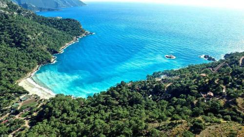 Olive Garden Kabak