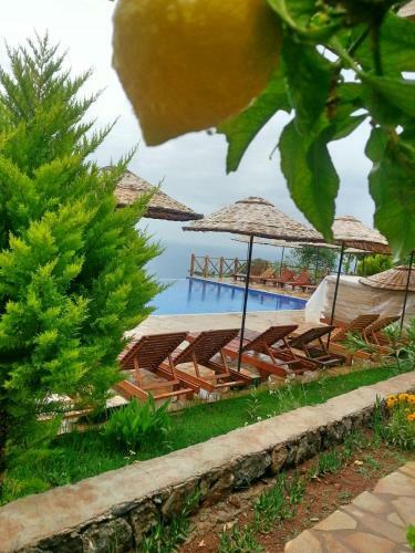 Olive Garden Kabak