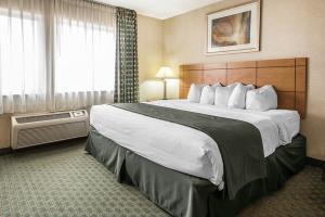 Hotel Comfort Inn