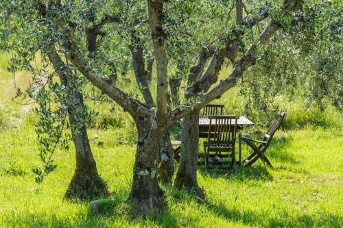 Hotel La Rimbecca Greve In Chianti