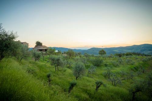Hotel La Rimbecca Greve In Chianti