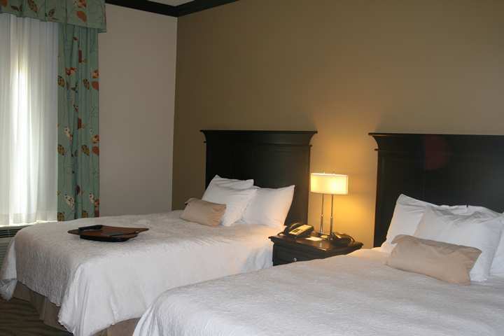 Hotel Hampton Inn Van Horn