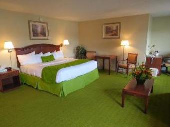 Hotel Best Western Plus South