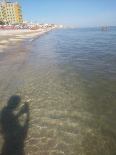 Apartamento Casa Vacanze "il Mare"