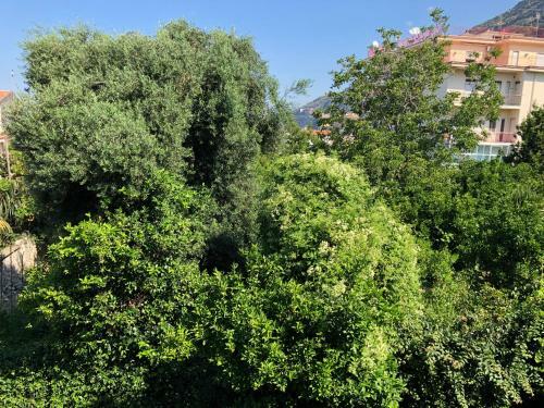 Hostal Villa Simpson