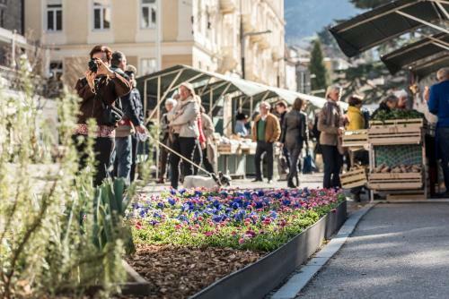 Apartamento Holiday House Merano - Terme