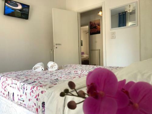 Bed & Breakfast Venice Tour