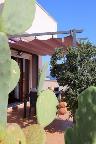 Apartamento Isolaazzurra