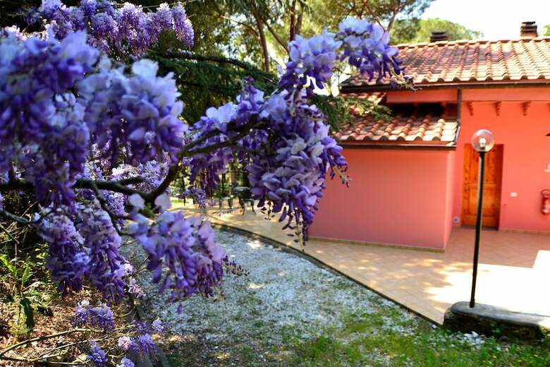 Agriturismo Poggio Al Pino