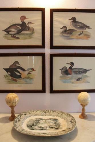 Agroturismo Relais Pugliano