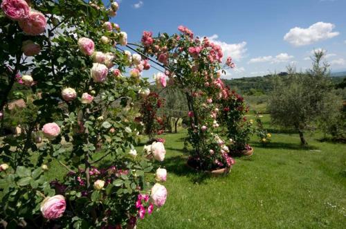 Montepulciano Villa Sleeps 15 Pool Air Con Wifi