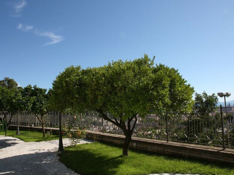 Vacation Home Agrumeto Flegreo