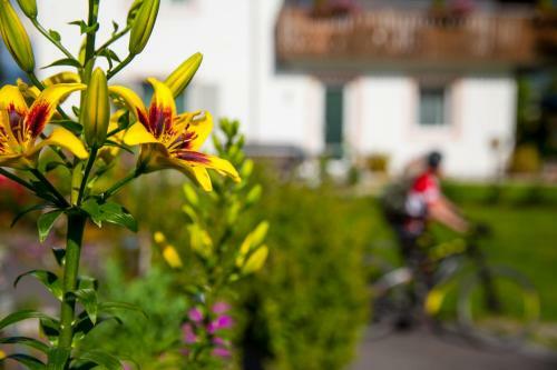 Bed & Breakfast Garni Schmiedhof