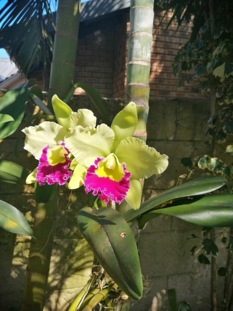 Hostal St. Lucia Wetlands Guest House