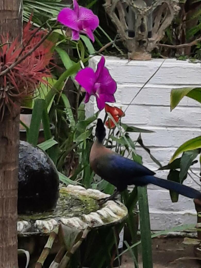 Hostal St. Lucia Wetlands Guest House