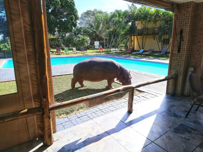 Elephant Lake Hotel