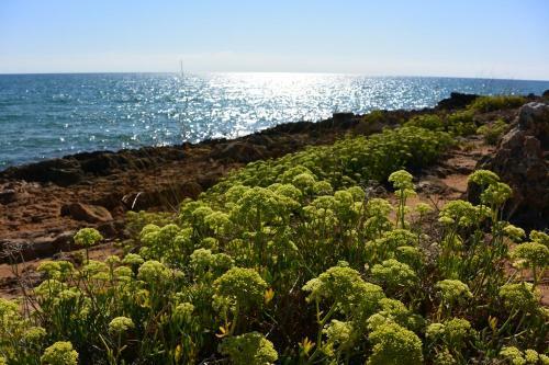 Holiday Home In Lido Di Noto 23283