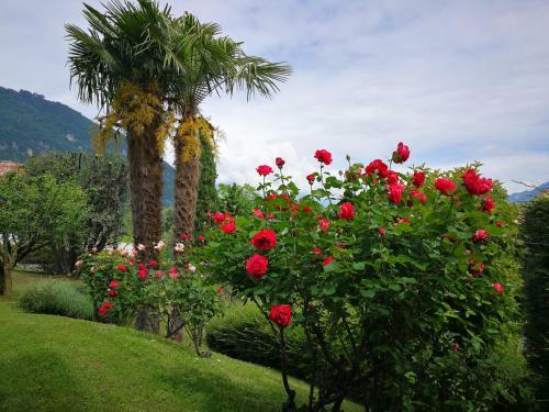 Bellagio Lake View Villa