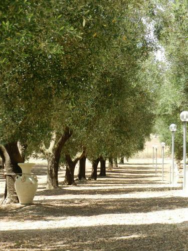 Agroturismo Agriturismo La Rondine