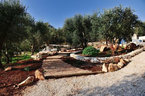 Bed & Breakfast Pigreco Trullo Di Charme - Boutique