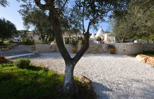 Bed & Breakfast Pigreco Trullo Di Charme - Boutique