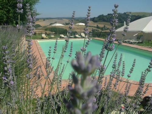 Apartamento Antonella House