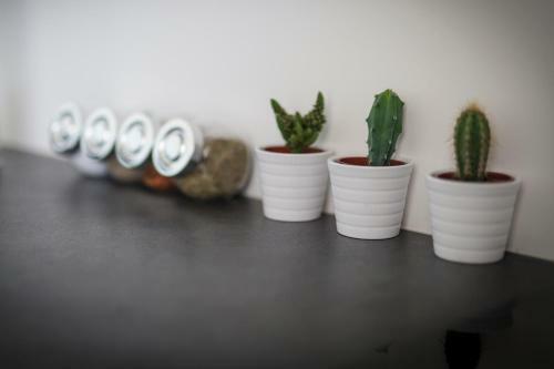 Apartamento Charlotte's House Locaz. Turistica