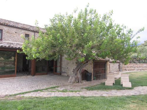 Agroturismo Il Baglio Di Nonna Clelia
