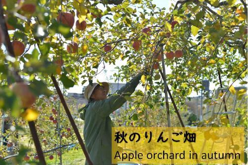 Shinshu Yokoya Farm