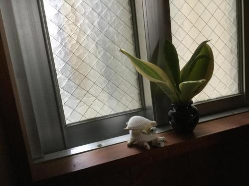 Bed & Breakfast Yadoya Usumiji (female Only)