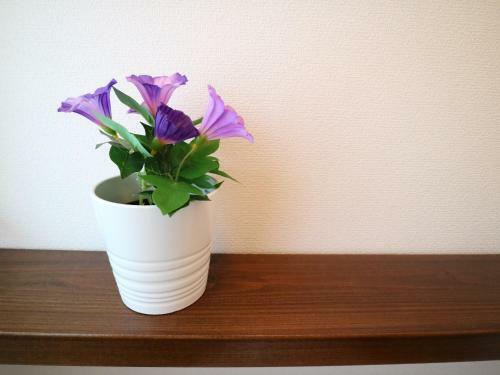 Apartamentos Base Osaka