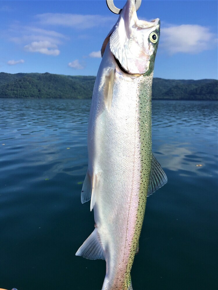 Wakkanupuri