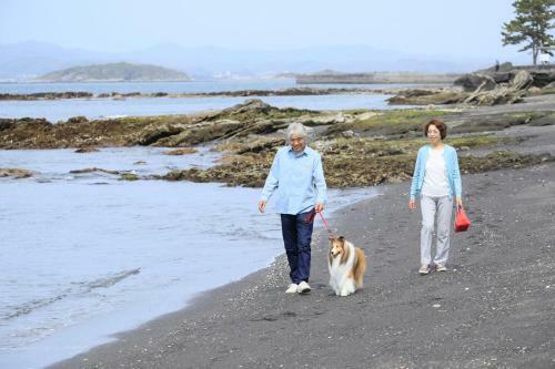 Hotel ???s Land Tateyama
