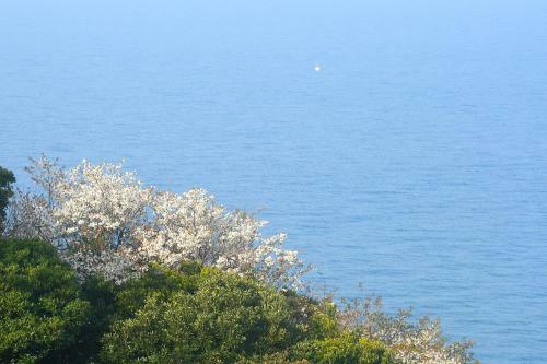 Hostal Hillside Inn Sirocco