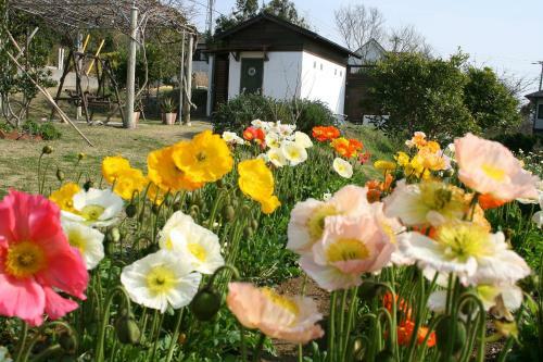 Hostal Hillside Inn Sirocco