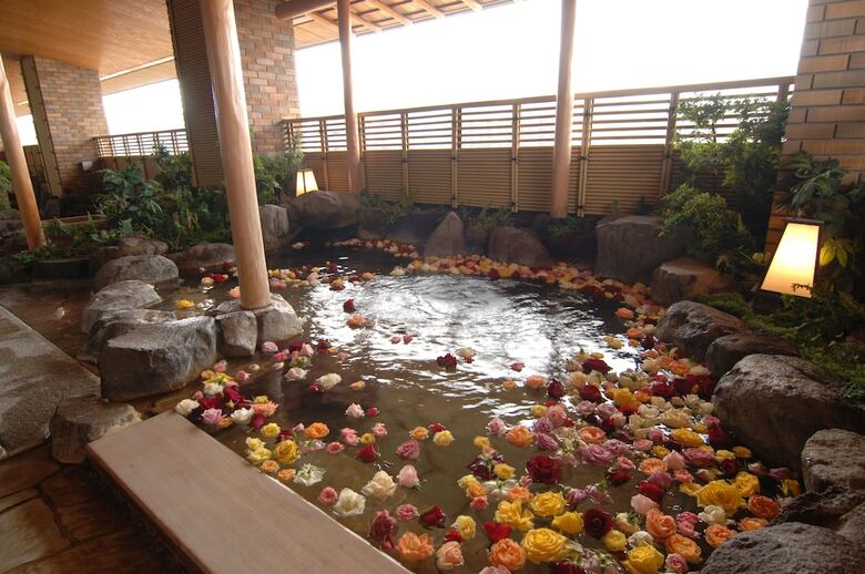 Hotel Wakamizu