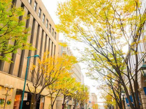 Hotel Wing International Kobe - Shinnagata Ekimae