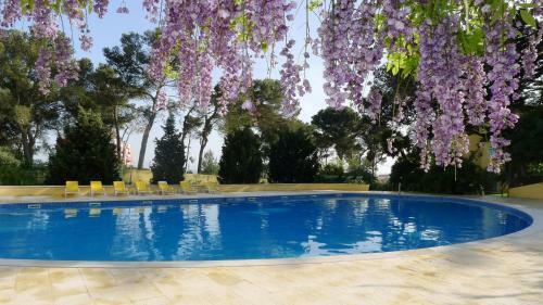 Hostal Dolce Vita Guesthouse
